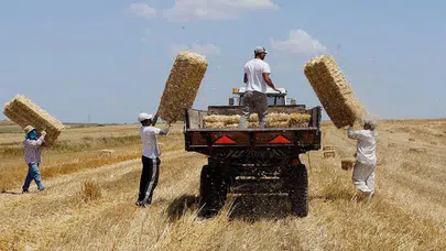 Uşak'ta talihsiz kaza : Saman balyasından düşen 71 yaşındaki adam hayatını kaybetti