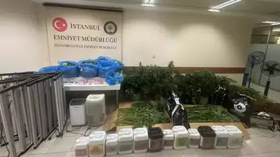 Sultanbeyli'de uyuşturucu operasyonu : Evde kurulan sera düzeneği ele geçirildi
