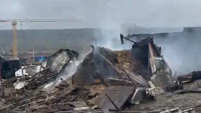 Kocaeli Dilovası'nda feci ahır yangını : Yüzlerce hayvan telef oldu!