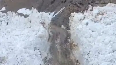 Bitlis Hizan'a çığ düştü