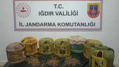 Iğdır'da kaçak keklik avcılarına rekor ceza : 175 bin TL para cezası