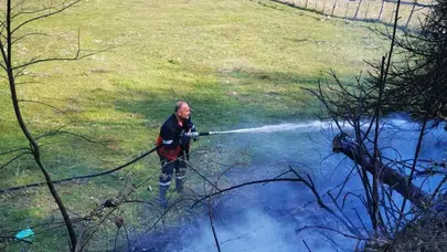 Sinop'ta anız yangını paniğe neden oldu