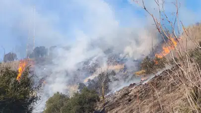 Hatay Defne'de çıkan bahçe yangınından alevler yükseldi