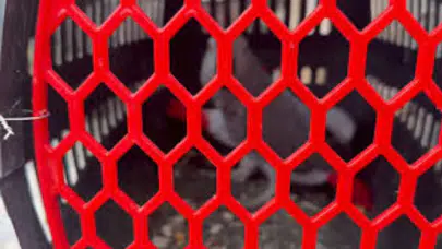 İstanbul'da petshop denetimi düzenlendi : 39 papağana el konuldu