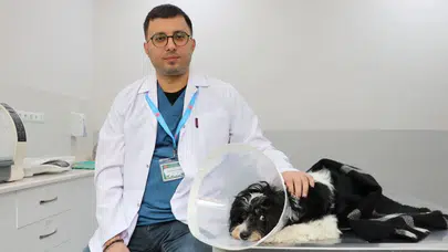 Sivas'ta bir köpeğin idrar kesesinden çıkanlar şaşkınlık yarattı
