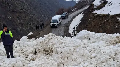 Van Çıtak'ta çığ düştü : Mahalle ve mezra yolları kapandı