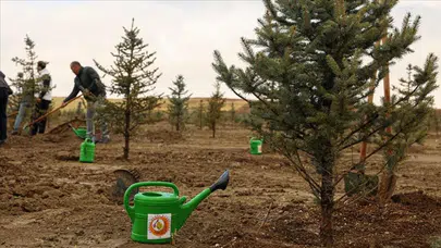 Ordu'da Orman Haftası'nda bin 500 fidan dikildi