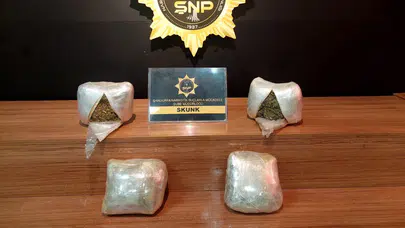 Şanlıurfa'da uyuşturucu operasyonunda 2 kişi gözaltına alındı