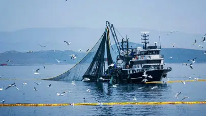 Bakanlık açıkladı : Denizlerde av yasağı başlıyor