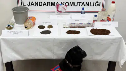 Tokat'ta uyuşturucu operasyonu : 8 gözaltı