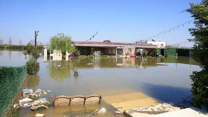 Manisa'da Gediz ve Nif Çayı taştı : Tarım arazileri ve bağ evleri göle döndü