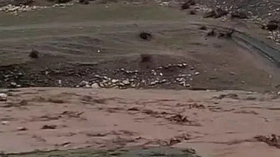 Siirt'te sağanak yağış besicilere zor anlar yaşattı