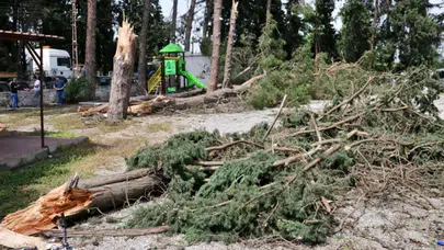 Karabük'te kestiği ağacın altında kalan işçi hayatını kaybetti