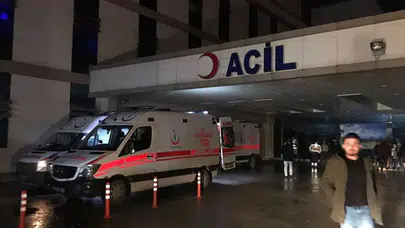 Düzce'de bir şahıs kestiği ağacın altında kalıp yaralandı