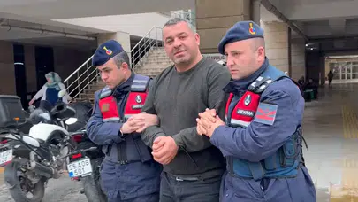 Samsun'da büyükbaş hayvan vurgunu : Dolandırıcı tutuklandı