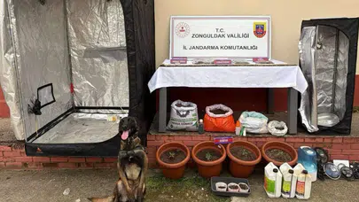 Zonguldak'ta uyuşturucu operasyonu : 2 tutuklu