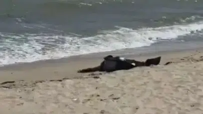 Karaburun Sahili'nde bulunan cesedin kimliği 40 gün sonra belli oldu