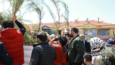 Alaca Belediyesi'nde vatandaşlara 2 bin fidan dağıtıldı
