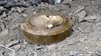 Mardin Nusaybin'de mayın patladı : 2 kardeş yaralandı