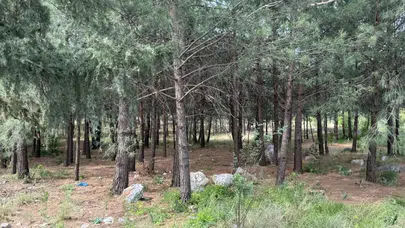 Hatay'da anne gömülü, oğlu ise vurulmuş halde bulundu