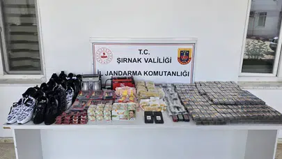 Şırnak'ta jandarmadan asayiş, kaçakçılık ve narkotik operasyonları : 1 gözaltı