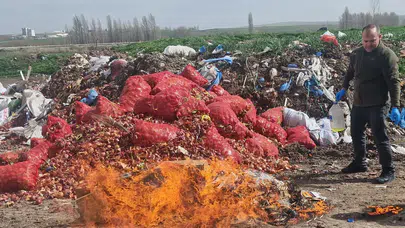 Çorum Alaca'da kaçak ürün operasyonu : Ele geçirilen sigara ve alkoller imha edildi