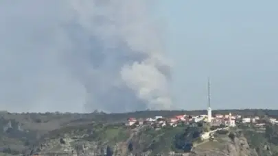 Beykoz'da ormanlık alanda yangın çıktı