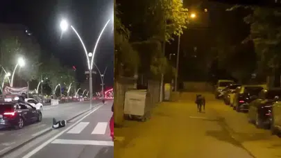 Batman'da yaban domuzu dehşet saçtı : Yayaya çarptı ardından kaçtı