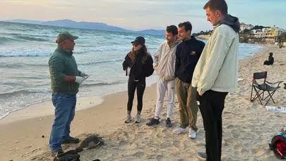 Kuşadası'nda iki farklı tür deniz kaplumbağası ölü bulundu