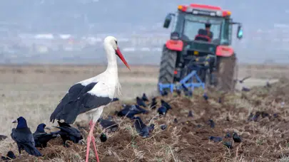 Meteoroloji Bölge Müdürlüğü'nden zirai don uyarısı