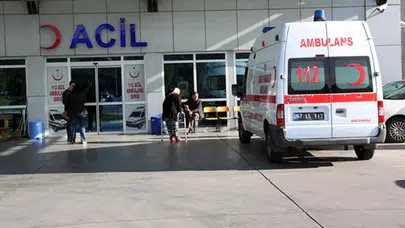 Bursa İnegöl'de akrep dehşeti : Bahçe temizlerken hastanelik oldu