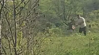 Avcılar'da köpeğe kötü muamelede bulunan şüpheli yakalandı : Adliyeye sevk edildi