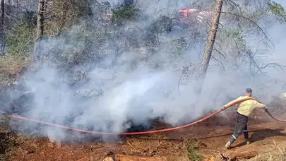 Hatay'da orman yangını