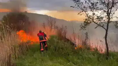 Elazığ'da otluk alanda yangın çıktı