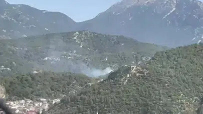 Muğla Fethiye'de ormanlık alanda yangın