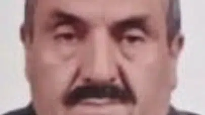 Samsun'da yaşlı adam, devrilen ağacın altında kalarak hayatını kaybetti