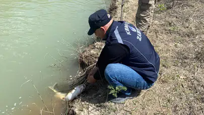 Erzincan Karasu Nehri'nde kaçak avcılık denetimi