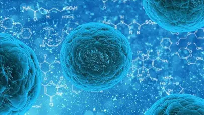 Norovirüs şüphesiyle 1 kişi hayatını kaybetti