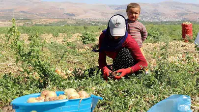 Bakan Yumaklı Dünya Çiftçiler Günü'nü kutladı
