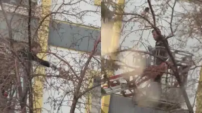 Kars'ta güvecin ağaçta mahsur kaldı, itfaiye ekipleri kurtardı