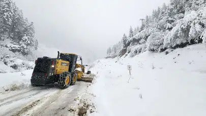 Van'da kar esareti : 30 yerleşim birimine ulaşım sağlanamıyor