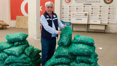 Edirne'de 760 kilogram kum midyesi ele geçirildi