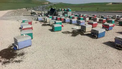 Yayla yolunda araç arızalandı , kovanlar yola saçıldı : Binlerce arı telef oldu