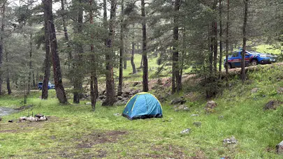 Bolu'da ormanlık alana yıldırım düştü : Piknik yapan 3 kişi yaralandı