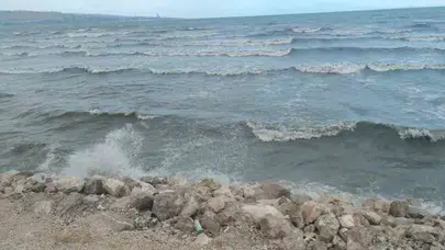 Van'da şiddetli rüzgar etkili oldu