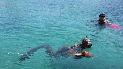 Muğla Bodrum'da deniz dibi temizliği : 260 kilogram atık çıkarıldı