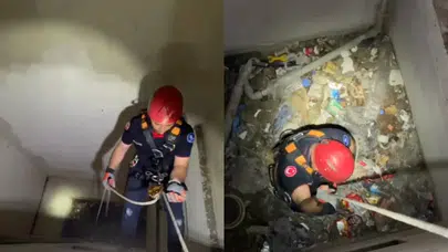 Kocaeli'de apartman boşluğuna martı düştü