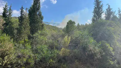 Marmaris Löngöz Koyu'nda yıldırım kaynaklı orman yangını