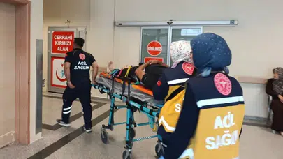 Adıyaman'da devrilen kamyonun sürücüsü yaralandı