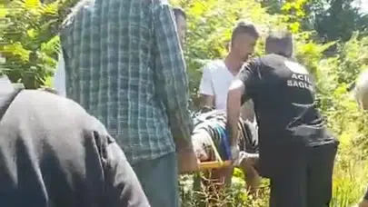 Rize'de bir kişi kiraz toplarken ağaçtan düşerek yaralandı